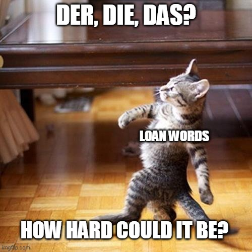 genders for German loan words meme